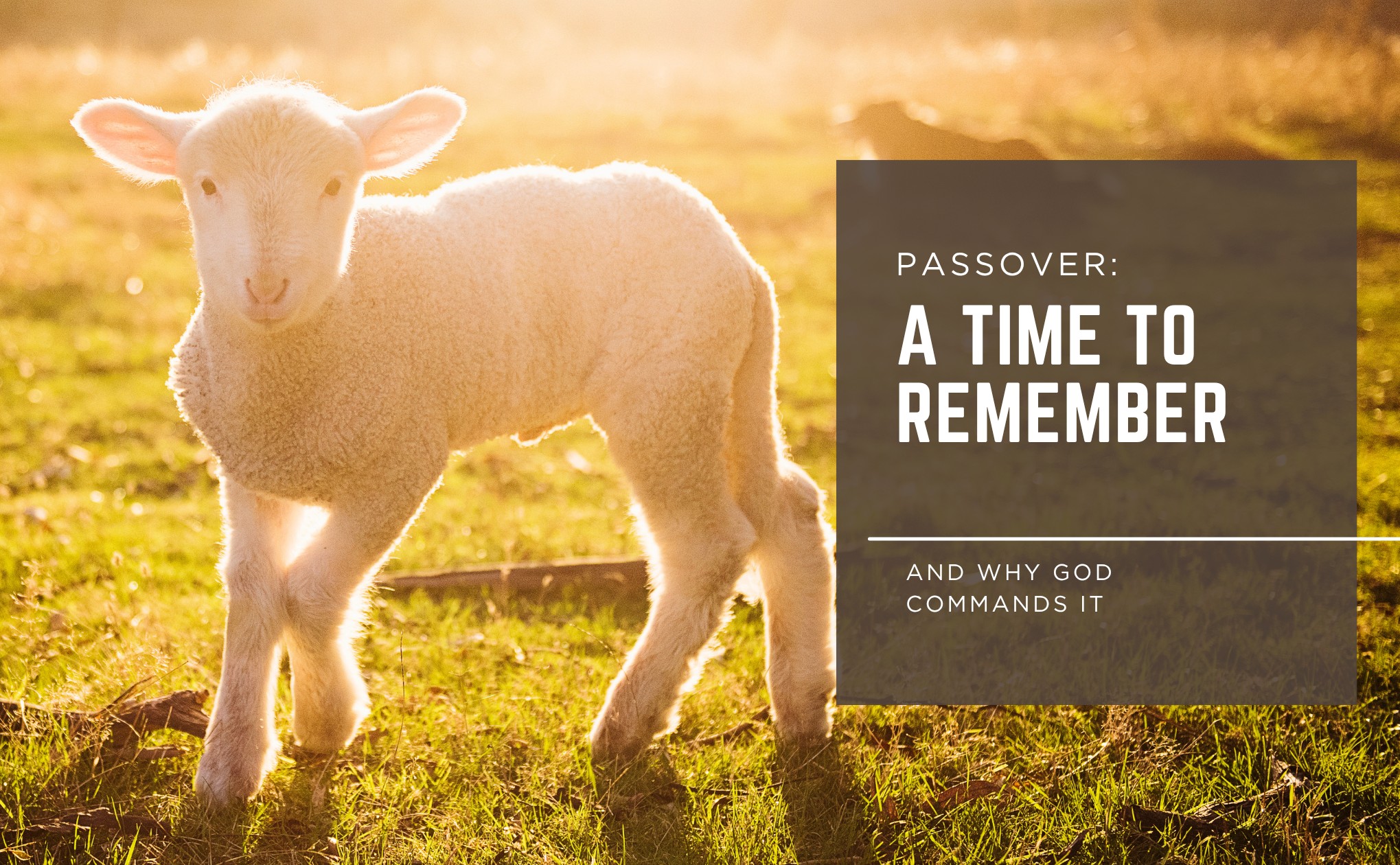 Passover: a Time to Remember